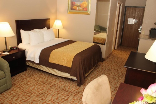 Quality Inn Lockport image 4